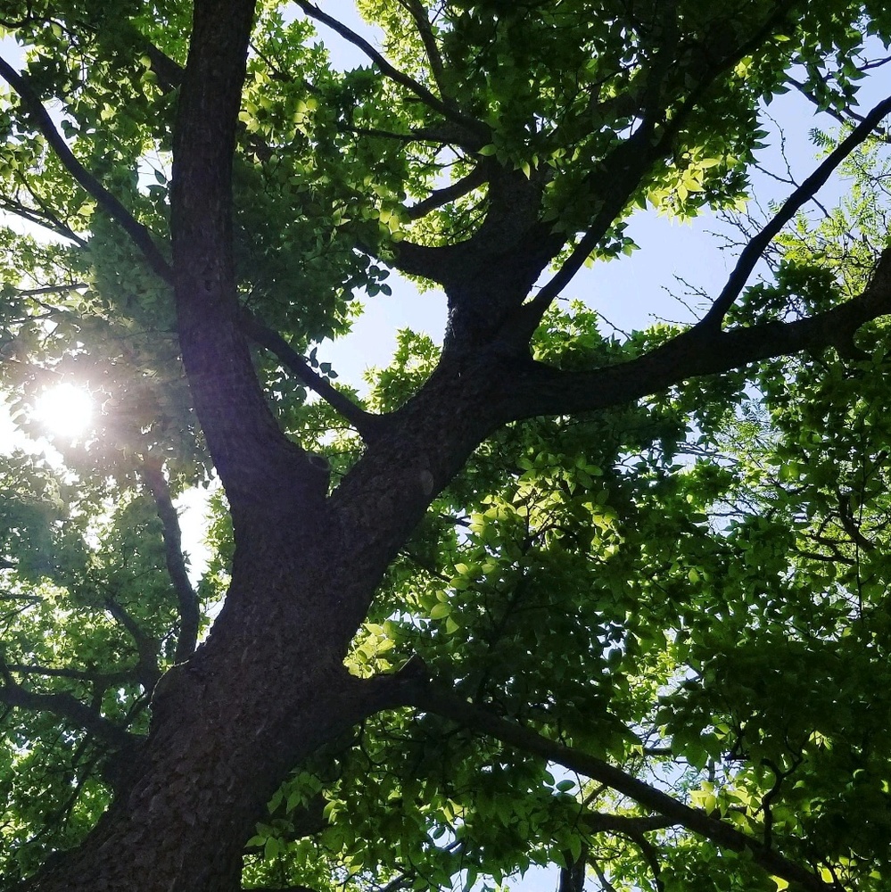 Meet your Posher, Dee